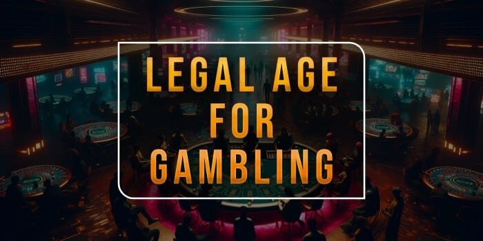 Vbet Malta VIP Program: Benefits And Features For High-Level Players
