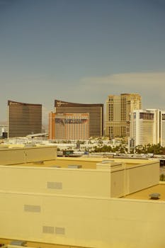 Vbet Malta Sports Odds: Guide To Betting, Markets, And Features