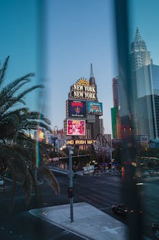 VBet Malta Promotions: Bonuses, Tournaments, And Campaigns